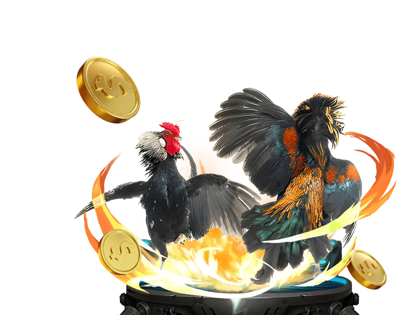 Các khuyến mãi đá gà độc quyền tại 333vin